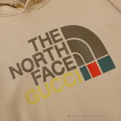 HypeYourBeast GC X TNF Hoodie Brown