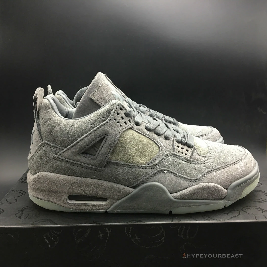 Hypeyourbeast Jordan 4 X KAWS Gray