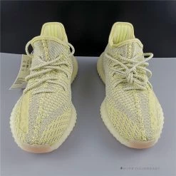 Hypeyourbeast Adidas Yeezy Boost 350 V2'Antlia'