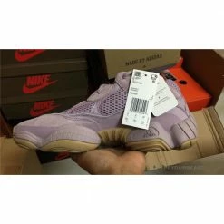 Hypeyourbeast Adidas Yeezy Boost 500 Soft Vision