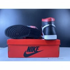Hypeyourbeast Air Jordan 1 Retro High Snake Chicago Satin