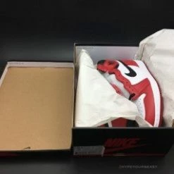 HypeYourBeast Air Jordan 1 Retro High OG'Chicago'