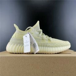 Hypeyourbeast Adidas Yeezy Boost 350 V2'Antlia'
