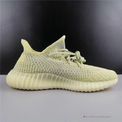 Hypeyourbeast Adidas Yeezy Boost 350 V2'Antlia'