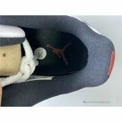 Hypeyourbeast Air Jordan 11 Low'Concord Bred'