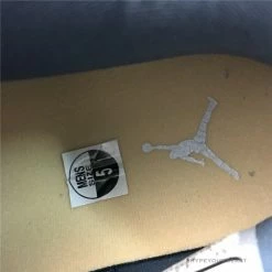 HypeYourBeast Air Jordan 4 WMNS'Chameleon'