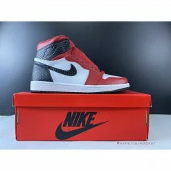 Hypeyourbeast Air Jordan 1 Retro High Snake Chicago Satin