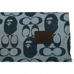 Hypeyourbeast BAPE X COACH Co-Branded Grey-Blue Hoodie