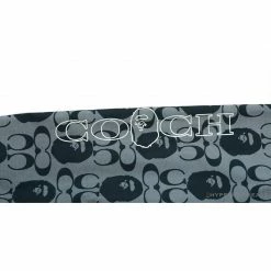 Hypeyourbeast BAPE X COACH Co-Branded Grey-Blue Hoodie