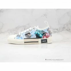 Hypeyourbeast Dior B23 Low Multi Color