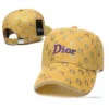 Hypeyourbeast Dior Hat Yellow
