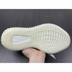 Hypeyourbeast Adidas Yeezy Boost 350 V2'Bone'