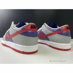 Hypeyourbeast Nike SB Dunk Low'Samba'