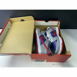 Hypeyourbeast Nike SB Dunk Low'Samba'