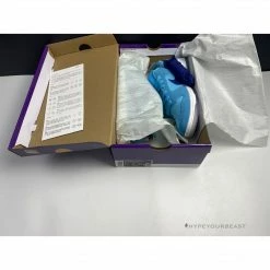 Hypeyourbeast Nike SB Dunk Low'Blue Fury'