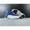 Hypeyourbeast Air Jordan 12 'Stone Blue'