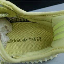 Hypeyourbeast Adidas Yeezy Boost 350 V2'Antlia'