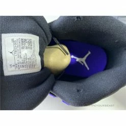 Hypeyourbeast Air Jordan 12'Dark Concord'