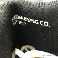 Hypeyourbeast Nigel Sylvester X Air Jordan 1 Retro High OG'Nigel Sylvester'