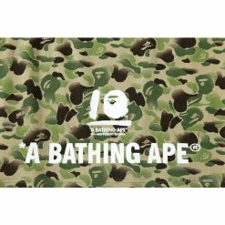 Hypeyourbeast BAPE Chinese Style Ink 10th Anniversary Camouflage Tee Shirt'GREEN'