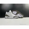 HypeYourBeast Air Jordan 3 'Mocha'