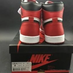 HypeYourBeast Air Jordan 1 Retro High OG'Chicago'