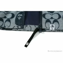 Hypeyourbeast BAPE X COACH Co-Branded Grey-Blue Hoodie