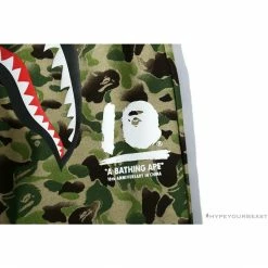 Hypeyourbeast BAPE Chinese Style Ink Camouflage 10th Anniversary Limited Pants'GREEN'